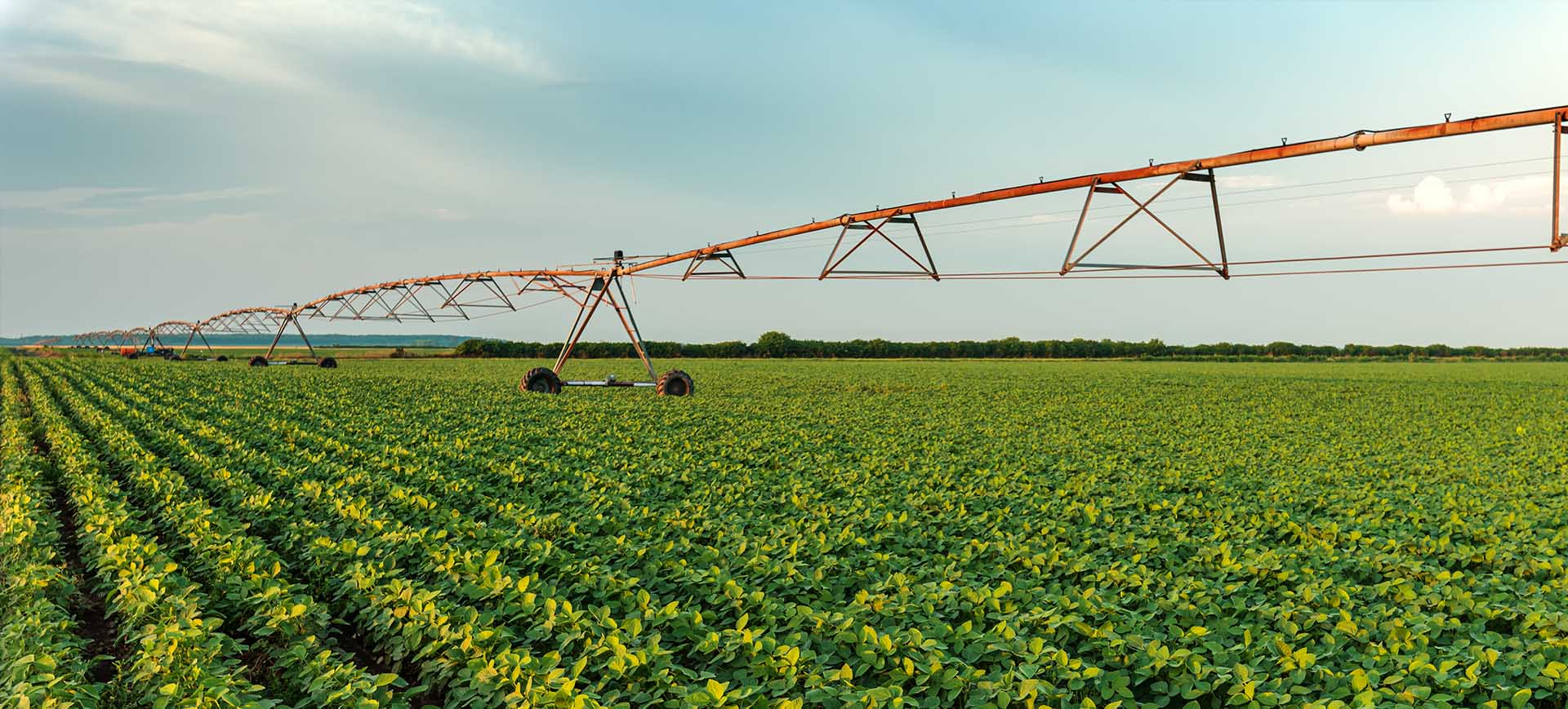 Better Pool & Irrigation Supplies Pool Shop Maitland Hunter Valley